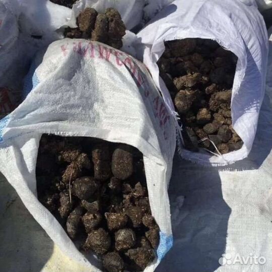 Навоз конский