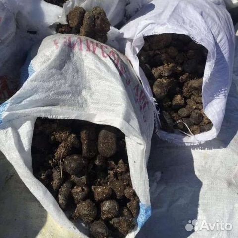 Навоз конский