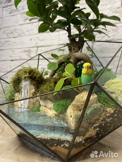 Флорариум бонсай