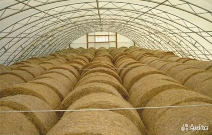 Сухая солома овсяная урожая 2023г