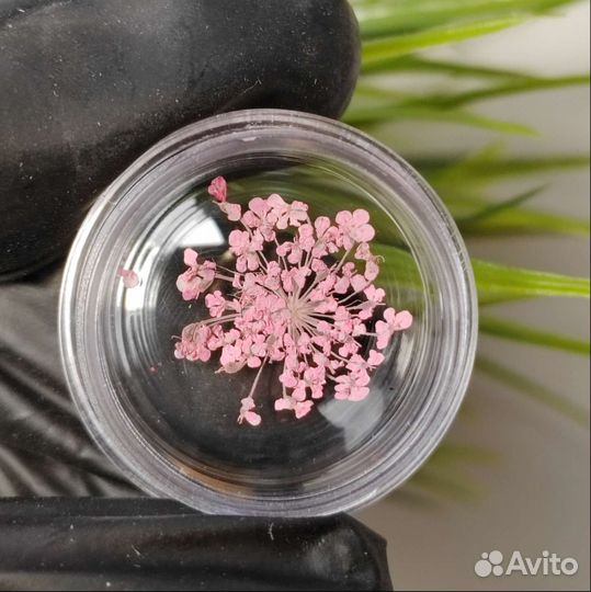 Сухоцветы для дизайна ногтей