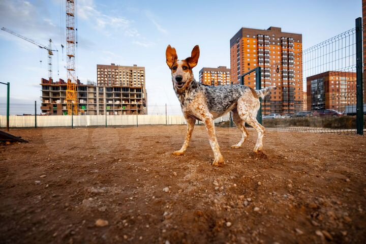 1-к. квартира, 38,2 м², 10/18 эт.