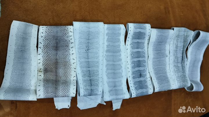 Кожа питона