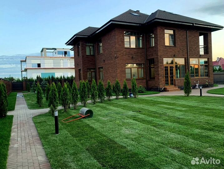 Рулонный газон 