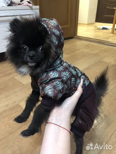 Пуховик для собак мелких пород