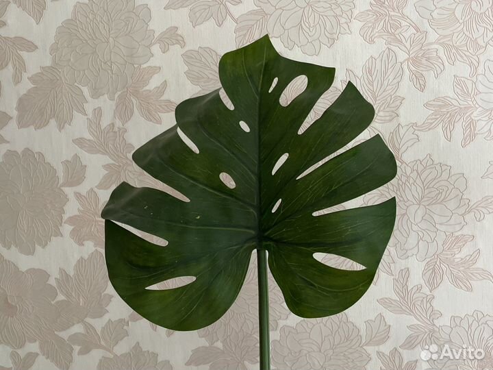 Монстера икея искуственная