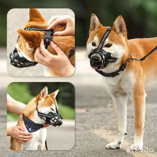 Намордник для средних собак