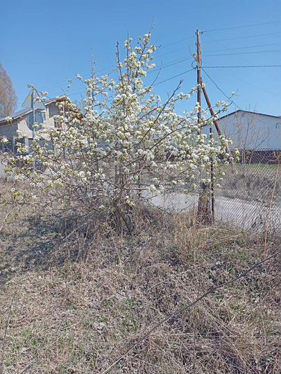 Дом 64 м² на участке 7 сот.