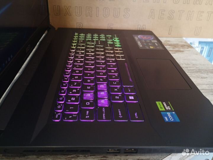 Игровой Ящур (17'3/RTX4060-8GB/i5-12450H/16GB/SSD)