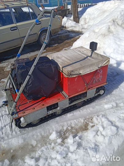 Мото собака