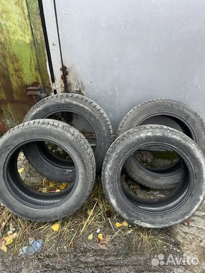 Nordman 7 205/55 R16