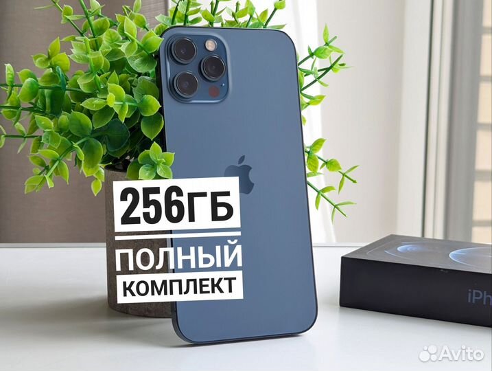 iPhone 12 Pro Max, 256 ГБ