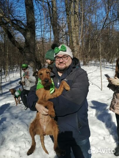 Информатика+Математика егэ. Надежно. Цена за месяц