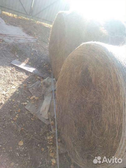 Сено в тюках