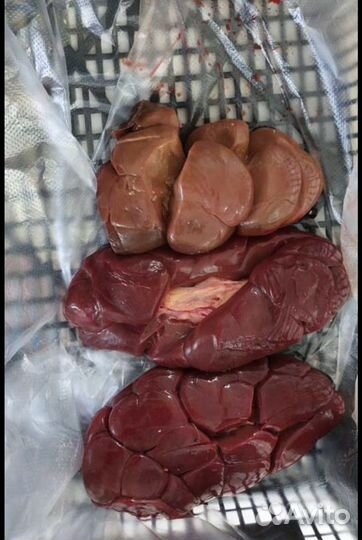 Продукты для собак (мясо для собак )