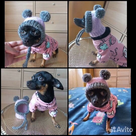 Шапочка для маленьких собак и кошек