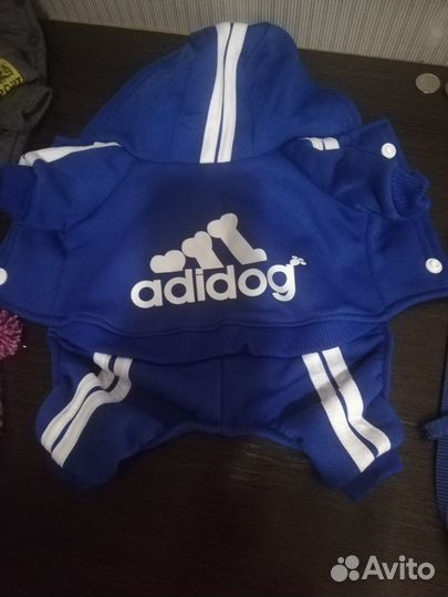 Одежда для мелких пород собак