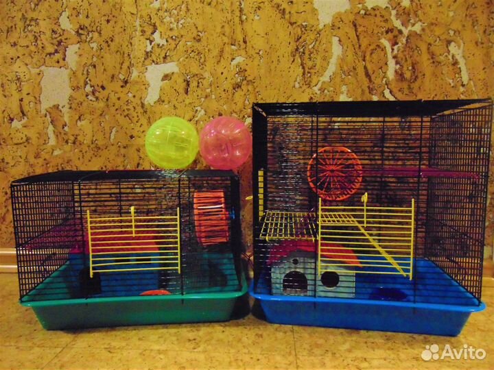 Джунгарские хомяки от заводчика, клетки, корм