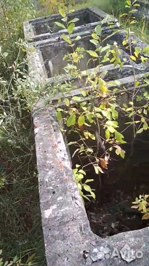 Септики жби