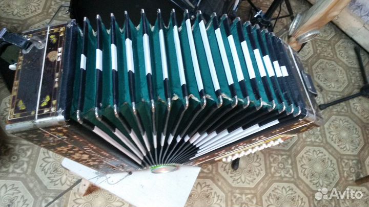 Гармонь любительская