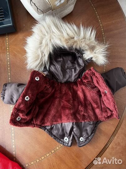 Одежда для маленьких собак