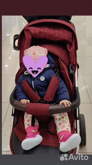 Коляска carello vista air 2 в 1