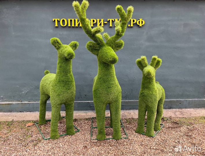 Топиари Топиарные фигуры Садовые фигуры