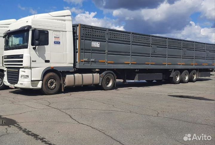 Перевозка крс коров