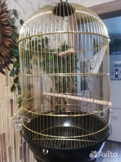 Клетка большая круглая 45*71, новая