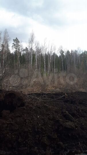 Участок 18 сот. (ИЖС)