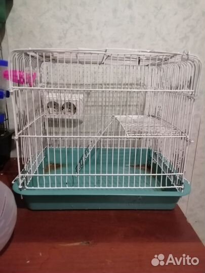 Принадлежности для хомяка