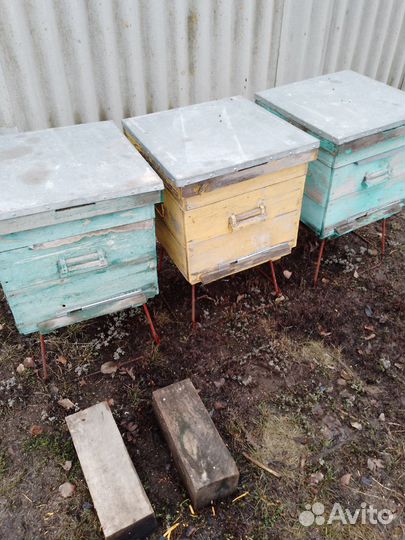 Продам ульи для пчел