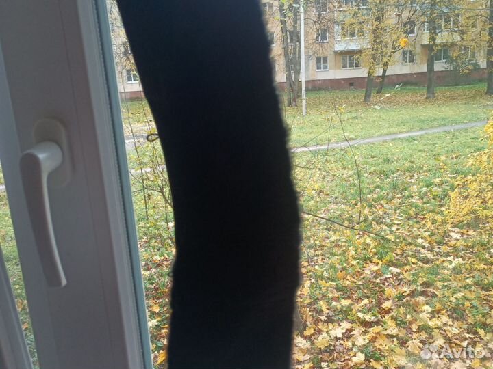 Натуральный меховой воротник мужской