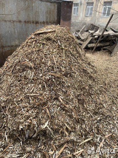 Опилки стружка щепа бесплатно