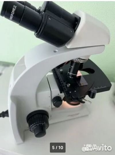 Ветеринарный врач на дом