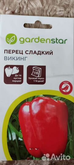 Рассада сладкого красного перца