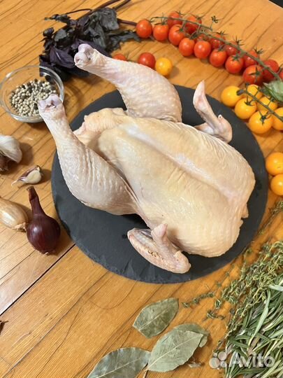 Курица домашняя халяль