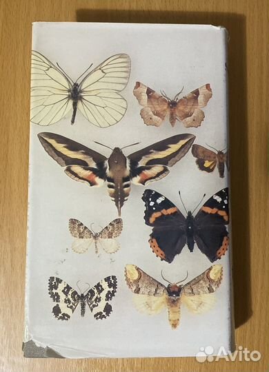 Книга Schmetterlinge Manfred Koch