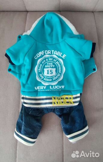 Одежда для маленьких собак