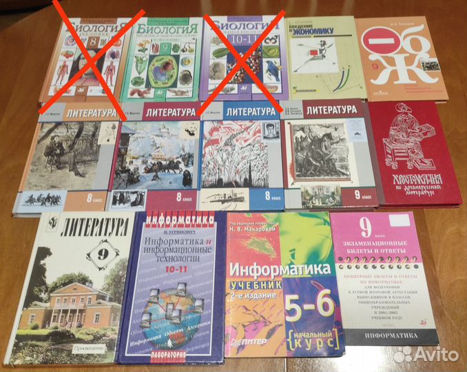 Биология, литература, информатика, обж, экономика