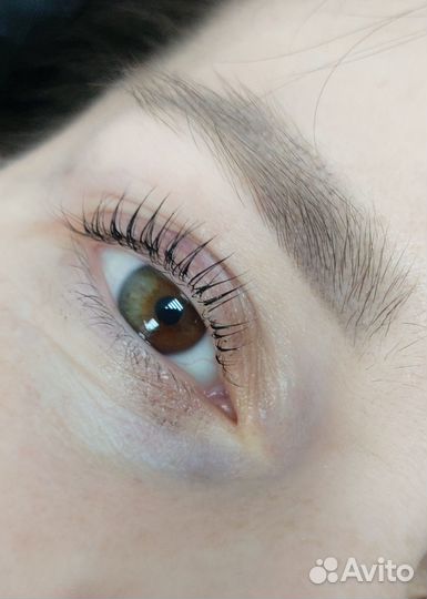 Обучение:Оформление Бровей и Ламинирование ресниц