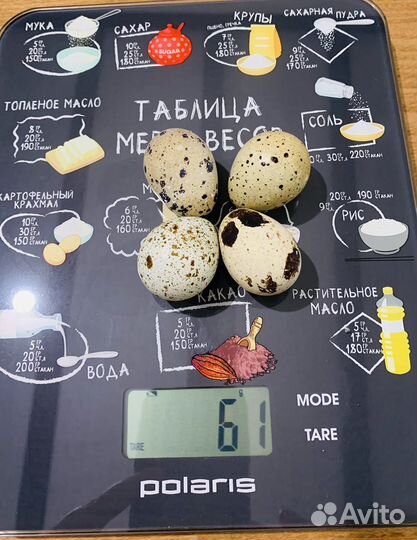 Яйца перепелиные домашние