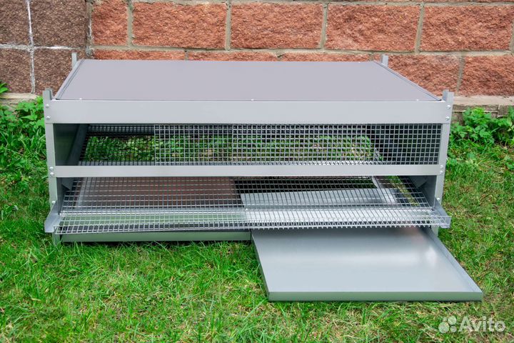 Клетки для кур и перепелов