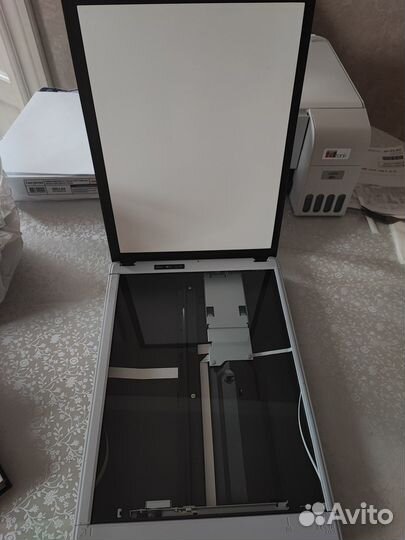 Сканер Epson Perfection V19