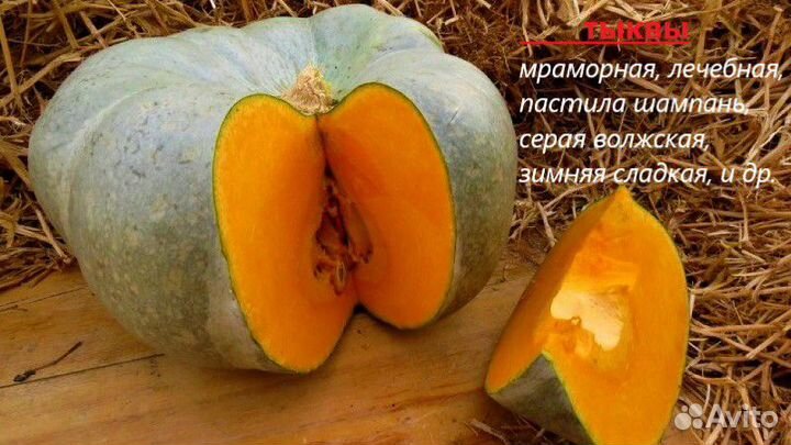 Семена овощей и цветов.Самые лучшие семейные сорта