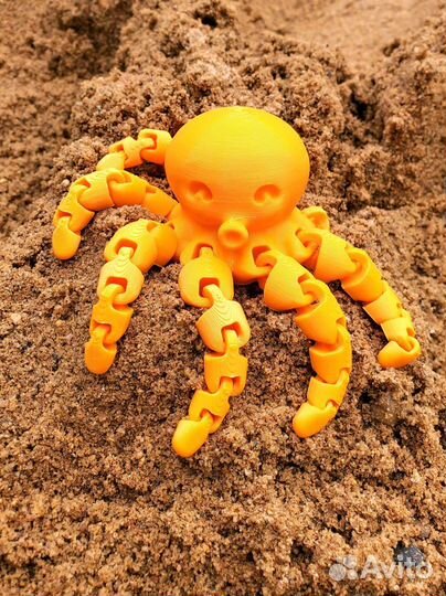 Осьминог подвижный