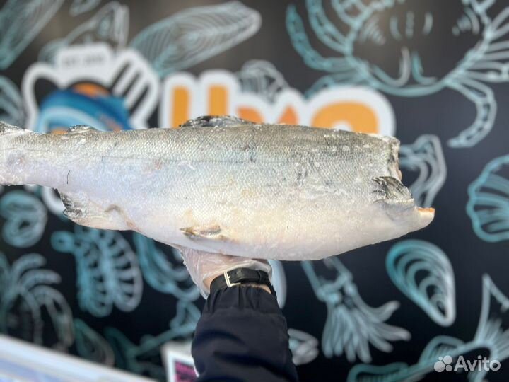 Красная рыба Кижуч крупный / Доставка