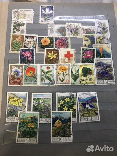 Почтовые марки