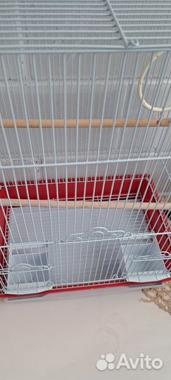 Клетка большая