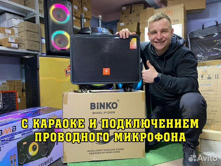 Колонка Binko P1200W c микрофоном и караоке